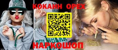 крисы Малгобек