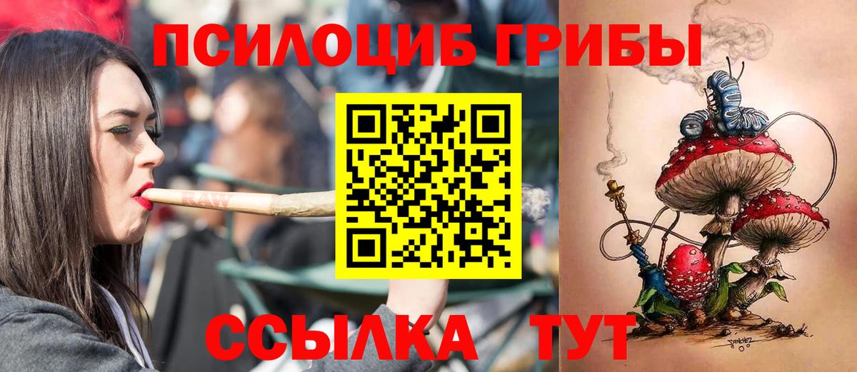 Псилоцибиновые грибы прущие грибы Сургут