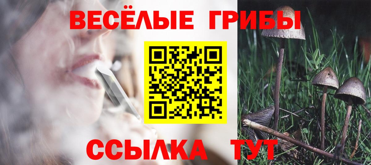 Псилоцибиновые грибы Magic Shrooms  Вход с VPN  Сургут 